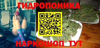 сатива Новодвинск