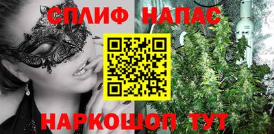 сатива Новодвинск