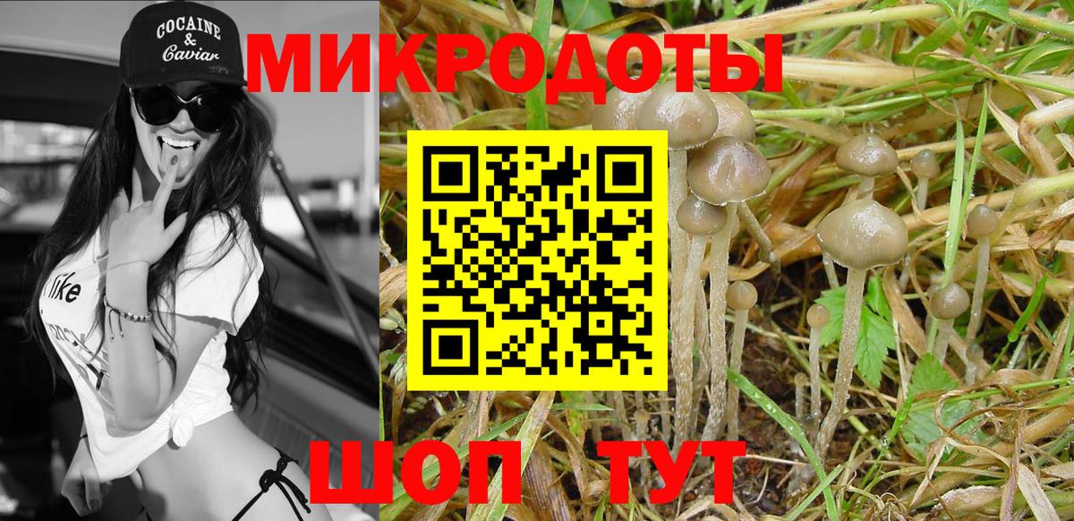 Галлюциногенные грибы Magic Shrooms Химки